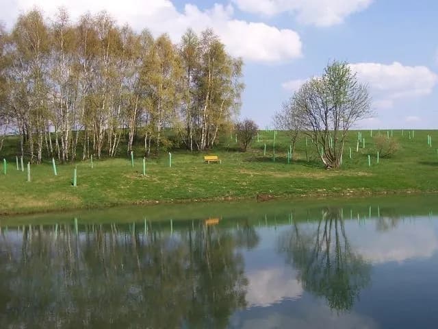 Biokoridor Skřípov